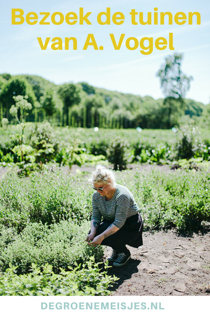 Een bezoek aan de tuinen van A.Vogel (inclusief winactie!) De Groene